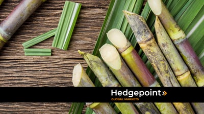 Excedente global de açúcar deve se aprofundar em 2025/26, aponta Hedgepoint