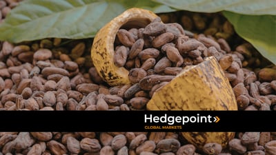 Mercado global de cacau segue volátil apesar do superávit previsto para 2026, aponta Hedgepoint