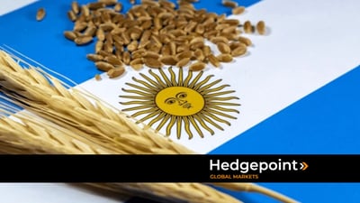 ¿Cuáles son las perspectivas de la producción de cereales en Argentina?