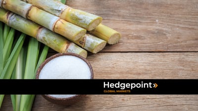 Safra robusta no Centro-Sul pressiona preços do açúcar, enquanto etanol ganha protagonismo no ajuste do mercado