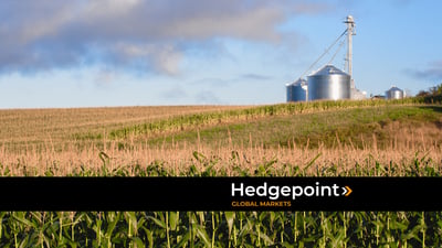 Volatilidade global, clima e biocombustíveis redefinem cenário para milho e soja