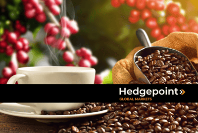 História e origem do café: a evolução global da commodity