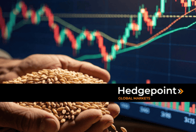 Outlook for Commodities in the Second Half of 2026: Outlook for Sugar, Cocoa, Grains, and Coffee