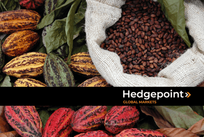 Cocoa 2025/26: Between Supply Recovery and Global Volatility