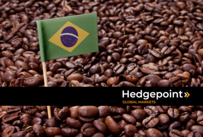 Coffee in Brazil: The History of the World's Largest Coffee Producer
