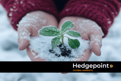 Agricultura no inverno: impactos, riscos e estratégias para o setor de commodities