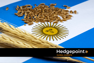 Clima na Argentina: impacto e volatilidade na safra de grãos