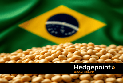 Soybeans 2025/26: What to expect from the new harvest in Brazil?