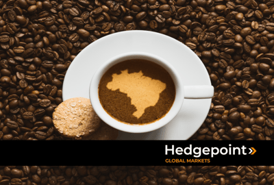 Safra de café 2025: desempenho e tendências do mercado brasileiro