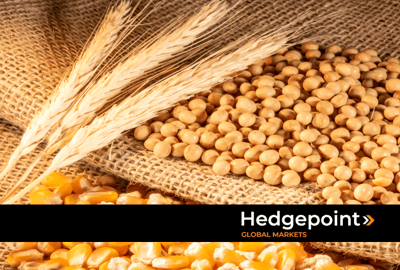 Grain production: Expectations for soybeans, corn and wheat 25/26