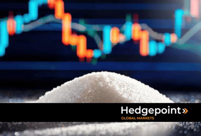 Preço do açúcar: Altas globais e desafios da safra brasileira