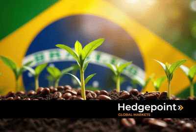 Safra de café no Brasil: estimativas para o ciclo 26/27