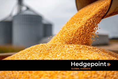 Exportação de milho no Brasil: desafios e projeções de mercado