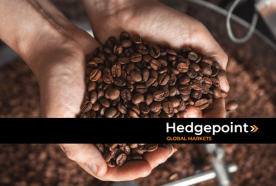 Cosecha de café: el impacto del retraso y la volatilidad mundial