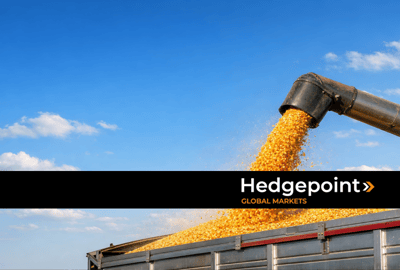 Preço do milho: fatores que movem o mercado nacional e global