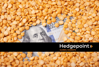 Dólar, juros e commodities: o impacto da tríade macro nas margens do agro