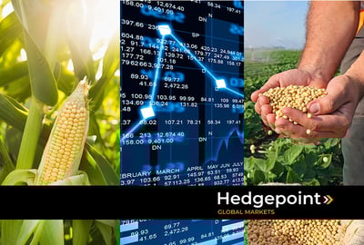 Contratos de futuros: ¿cómo funcionan en el mercado de granos y oleaginosas?