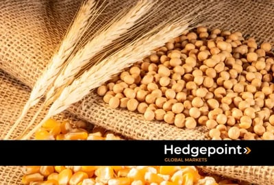 Progresso das safras de milho e soja no Brasil e na Argentina