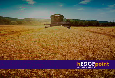 Cosecha de trigo en Argentina: entienda el escenario actual