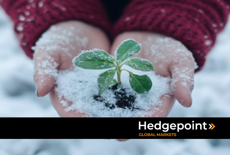 Agricultura de invierno: impactos, riesgos y estrategias para el sector de las commodities