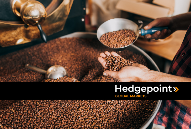 Hands holding coffee beans 
