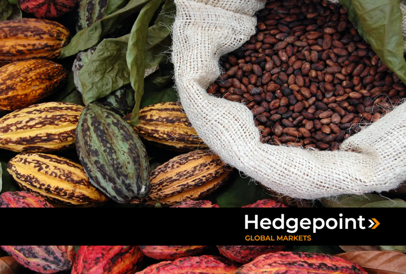 Mercado del cacao: ¿qué explica la reciente caída de los precios?