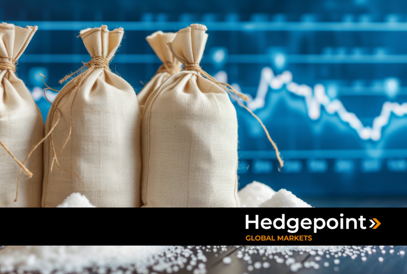 Three jute bags full of grain on a surface, with a blurred price chart in the background and the 'Hedgepoint Global Markets' logo at the bottom.