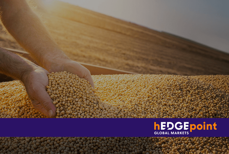 fungibilidade: imagem de grãos de soja