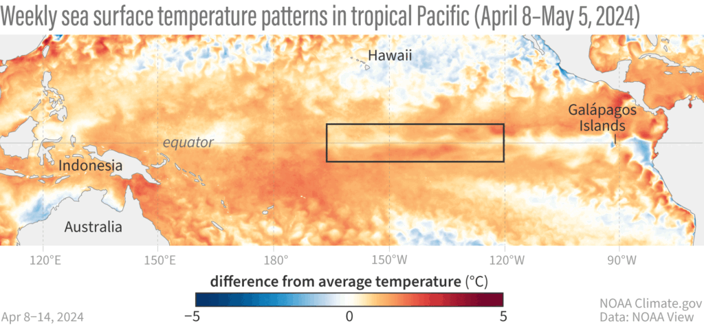 What Can We Expect From The La Niña Phenomenon In 2024? – Hedgepoint 